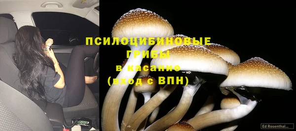 не бодяженный Аркадак
