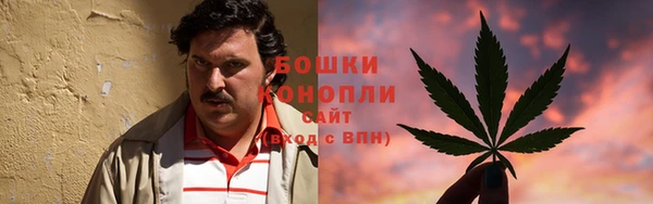 спиды Арсеньев